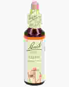 BACH-BLÜTEN Original Aspen No02 20 ml