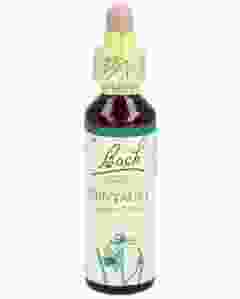 BACH-BLÜTEN Original Centaury No04 20 ml