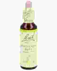 BACH-BLÜTEN Original Chestnut Bud No07 2