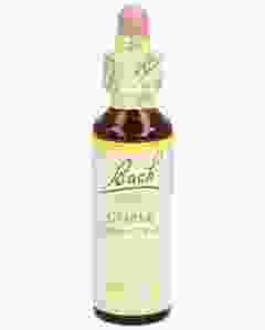 BACH-BLÜTEN Original Gorse No13 20 ml