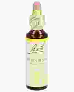 BACH-BLÜTEN Original Hornbeam No17 20 ml