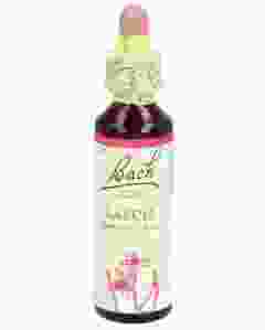 BACH-BLÜTEN Original Larch No19 20 ml