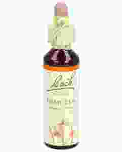 BACH-BLÜTEN Original Mimulus No20 20 ml