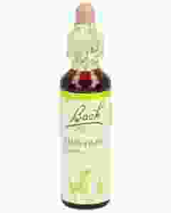 BACH-BLÜTEN Original Mustard No21 20 ml