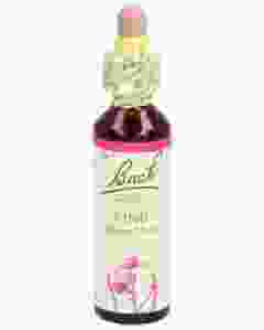 BACH-BLÜTEN Original Pine No24 20 ml