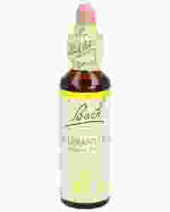 BACH-BLÜTEN Original Scleranthus No28 20