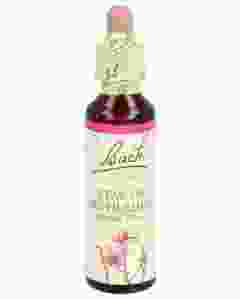 BACH-BLÜTEN Original Star of Bethlehem N