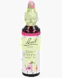 BACH-BLÜTEN Original Sweet Chestnut No30