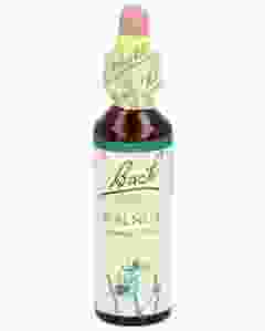BACH-BLÜTEN Original Walnut No33 20 ml