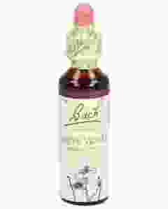 BACH-BLÜTEN Original Water Violet No34 2