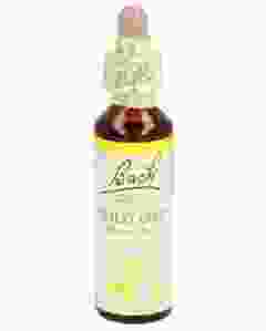 BACH-BLÜTEN Original Wild Oat No36 20 ml