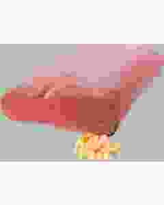 ELSA FLOCKEN-NACKENKISSEN 50X11CM VELORS