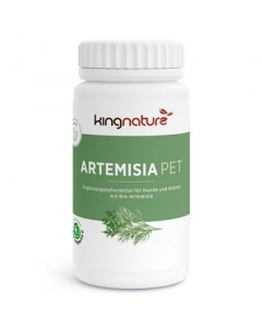 KINGNATURE Artemisia Pet Kaps 600 mg Bio