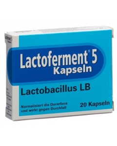 LACTOFERMENT Kaps 20 Stk