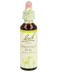 BACH-BLÜTEN Original Chestnut Bud No07 2
