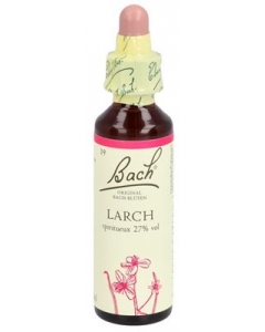 BACH-BLÜTEN Original Larch No19 20 ml