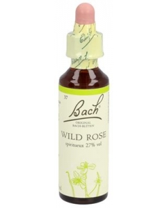 BACH-BLÜTEN Original Wild Rose No37 20 m