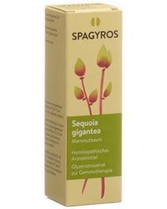 SPAGYROS GEMMO SEQUOIA GIGANT GLYC MAZ D