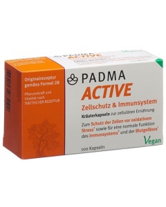PADMA ACTIVE KAPS 100 STK